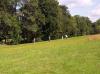 Klicken zum ansehen stphilbert_2007_109_t1.jpg