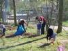 Klicken zum ansehen arbeitseinsatz_20110402_13_t1.jpg
