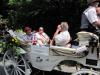 Klicken zum ansehen volksfest_2010_035_t1.jpg
