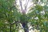 Klicken zum ansehen herbst_2011_273_t1.jpg