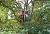 Klicken zum ansehen herbst_2011_278_t1.jpg