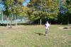 Klicken zum ansehen herbst_2011_339_t1.jpg