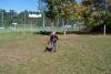 Klicken zum ansehen herbst_2011_340_t1.jpg