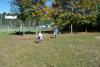 Klicken zum ansehen herbst_2011_346_t1.jpg