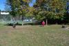 Klicken zum ansehen herbst_2011_357_t1.jpg