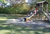 Klicken zum ansehen herbst_2011_376_t1.jpg