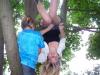 Klicken zum ansehen sommer_2012_065_t1.jpg