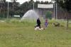 Klicken zum ansehen sommer_2012_072_t1.jpg