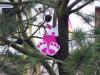 Klicken zum ansehen ostern_2013_177_t1.jpg