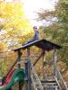 Klicken zum ansehen herbst_2012_25_t1.jpg