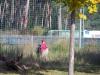 Klicken zum ansehen herbst_2012_65_t1.jpg