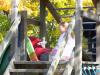 Klicken zum ansehen herbst_2012_67_t1.jpg