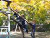 Klicken zum ansehen herbst_2012_68_t1.jpg