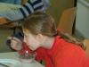 Klicken zum ansehen herbst_2013_025_t1.jpg