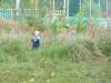 Klicken zum ansehen herbst_2013_078_t1.jpg