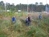 Klicken zum ansehen herbst_2013_099_t1.jpg
