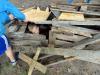 Klicken zum ansehen sommer_2014_110_t1.jpg