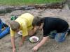 Klicken zum ansehen sommer_2014_134_t1.jpg