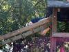 Klicken zum ansehen sommer_2015_70_t1.jpg