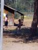 sommer_2015_96_t1.jpg