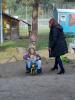 Klicken zum ansehen hfs_2015_050_t1.jpg