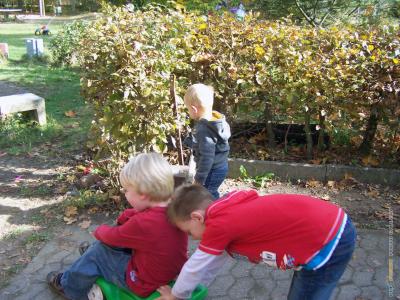 herbst_2012_79.jpg