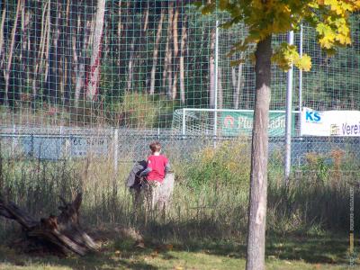 herbst_2012_65.jpg