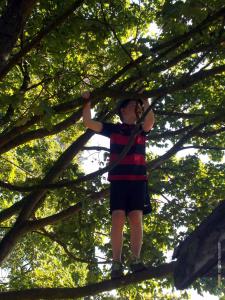sommer_2015_53.jpg