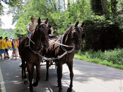 volksfest_2010_015.jpg